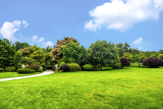 蓝天白云绿草地