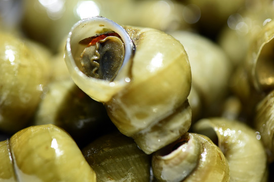 清明前的洪泽湖螺蛳美食