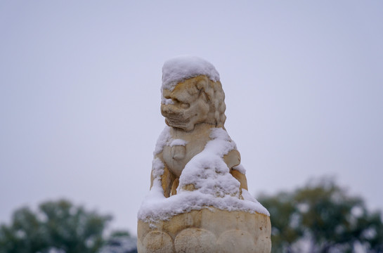 北京雪中故宫