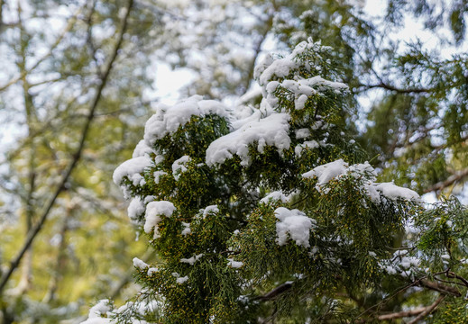 北京天安门故宫雪景