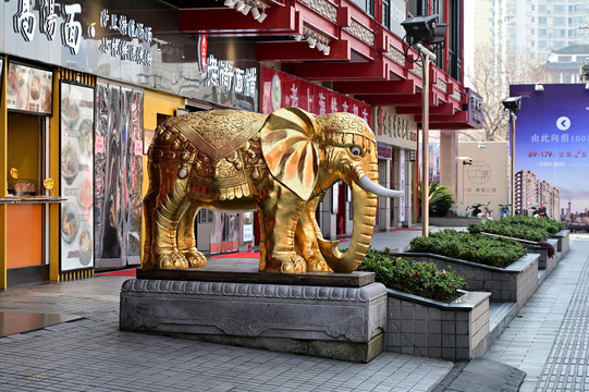 上海豫园的街头大象雕塑