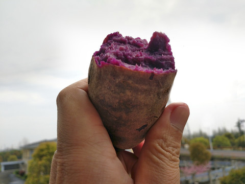 吃熟紫薯