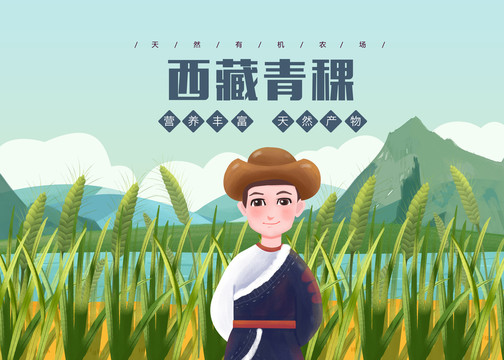 西藏青稞男孩包装插画