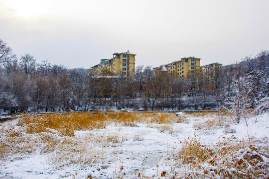 多层住宅群与雪覆盖的草地山林