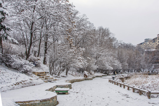 人行路与坡地挂着雪花的树林