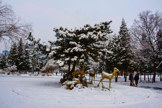 松树树林与树下小鹿雕塑雪景