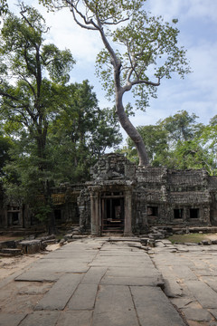 柬埔寨吴哥塔布茏寺