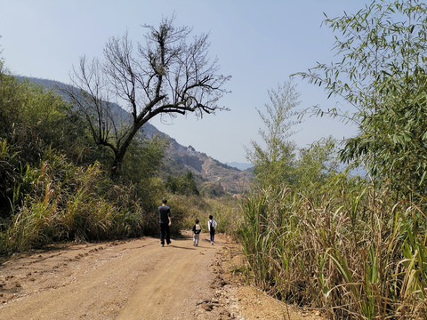 山路