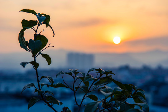 城市日出