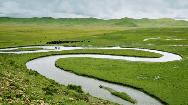 川西北阿坝县曼扎塘牧场湿地