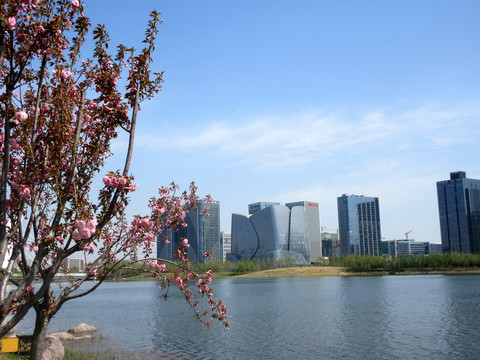 郑州龙子湖