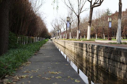 水系风景图片