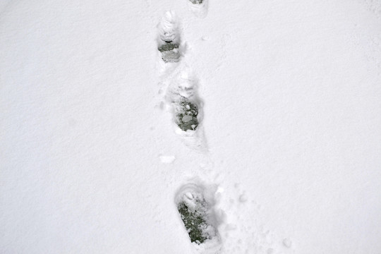 雪中脚印