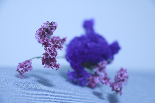 干花