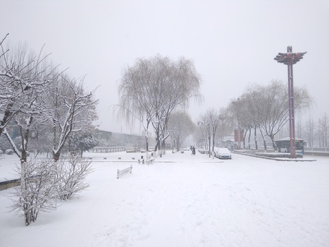 大雪中的街道
