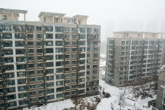 飘落的雪花