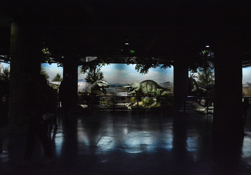 北京自然博物馆内景