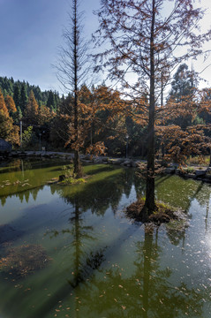 金华北山徐公湖秋天风光