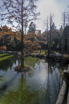 金华北山徐公湖