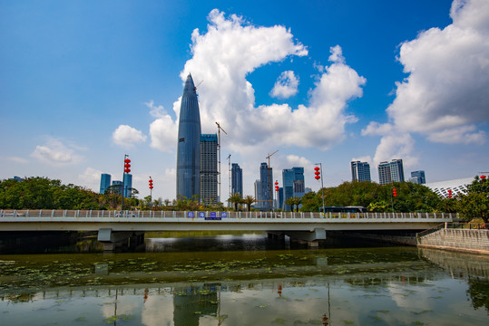 粤港澳大湾区深圳湾