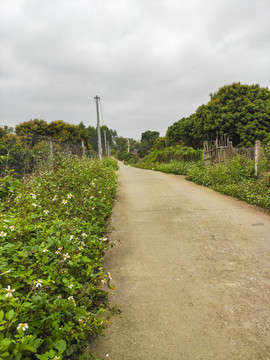 乡间小路