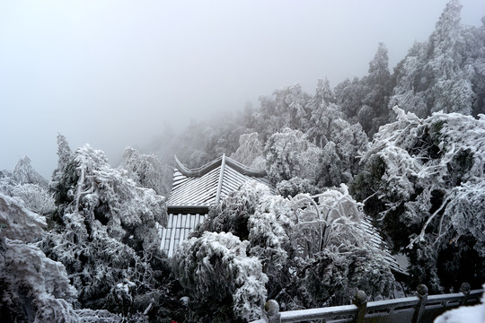 雪景