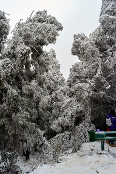 大雪