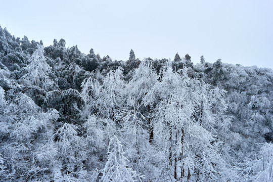 衡山