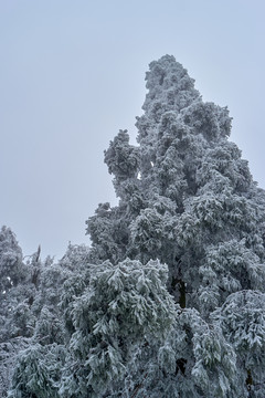 衡山雪景