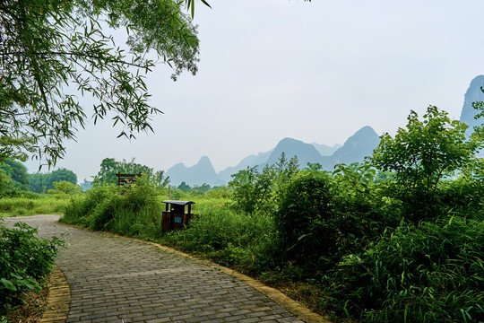 青山绿水