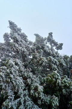 衡山雪景