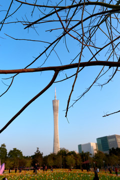 花城广州