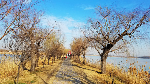 莱州河套湿地公园