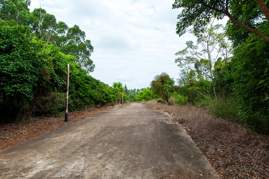 湛江市徐闻县龙泉森林公园道路