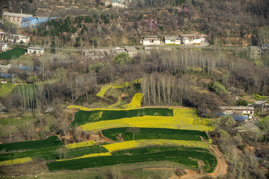 山村春色