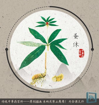 中草药植物百科蚤休