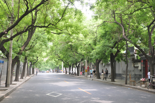 中山公园西门外的老城街道