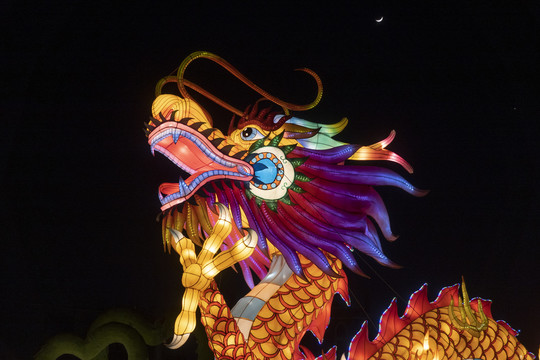 龙花灯