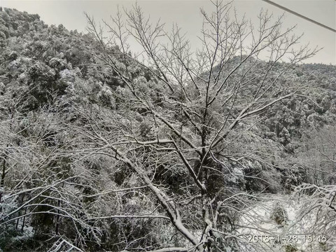 雪景