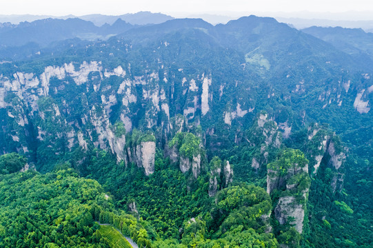 阿凡达景区