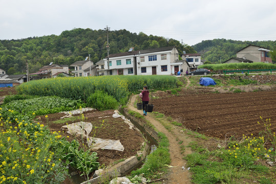 乡村农民劳动场景