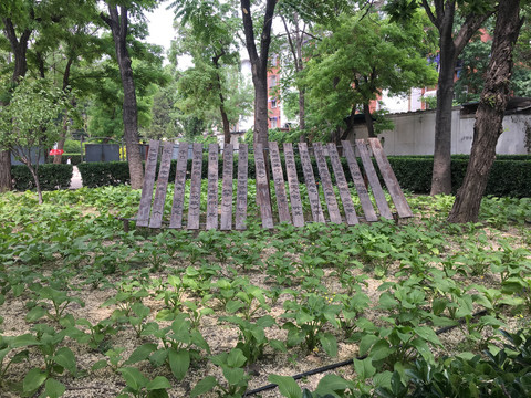 天津西南楼公园景观小品