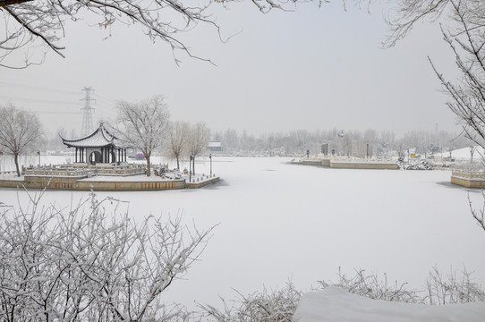 2020年北京的雪
