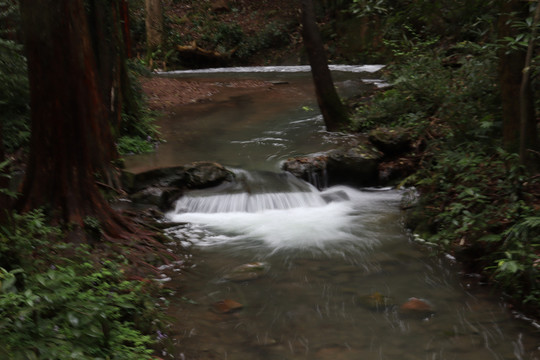 杭州杨梅岭景区