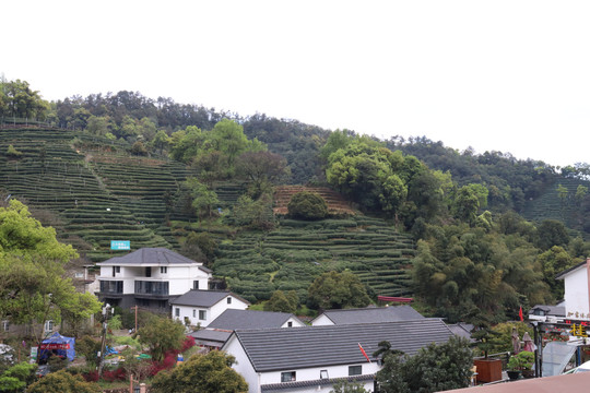 杭州杨梅岭景区民宿