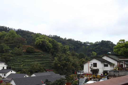 杭州杨梅岭景区民宿