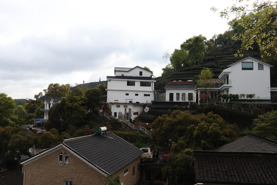 杭州杨梅岭景区民宿设计