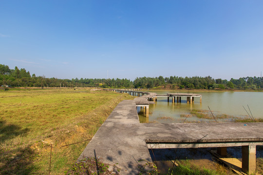 广东湛江森林公园风景