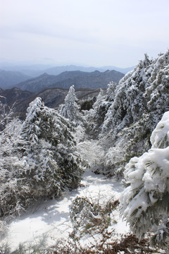 雪景