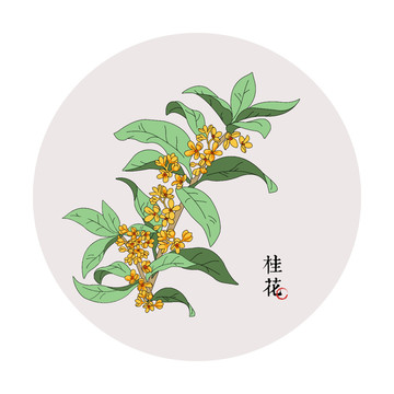 高清桂花元素